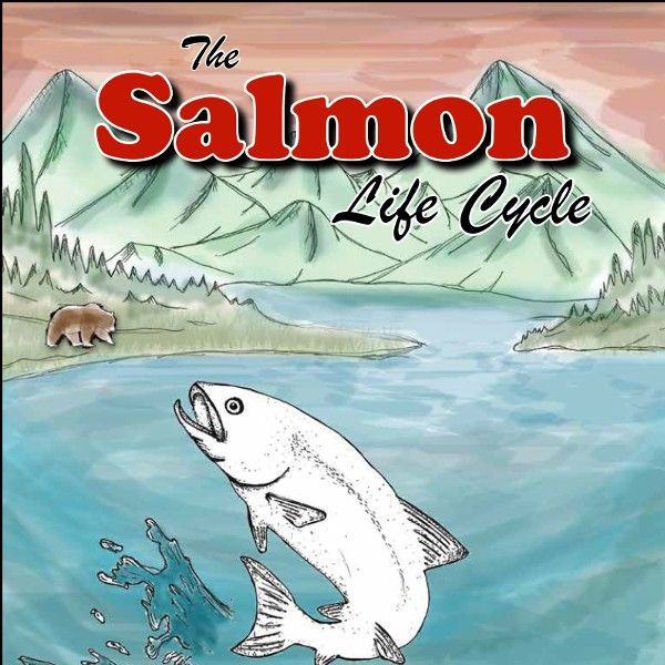 Salmon Lifecycle Coloring Book