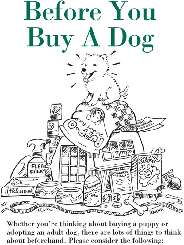  Before You Buy a Dog Story Book