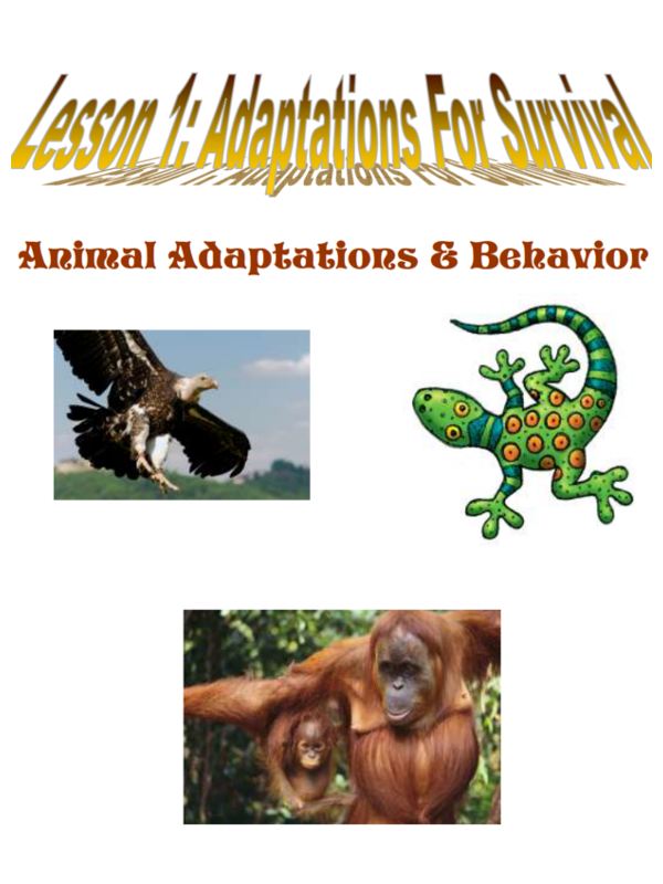 Wildlife Animal Adaptations and Behavior Activity Book
