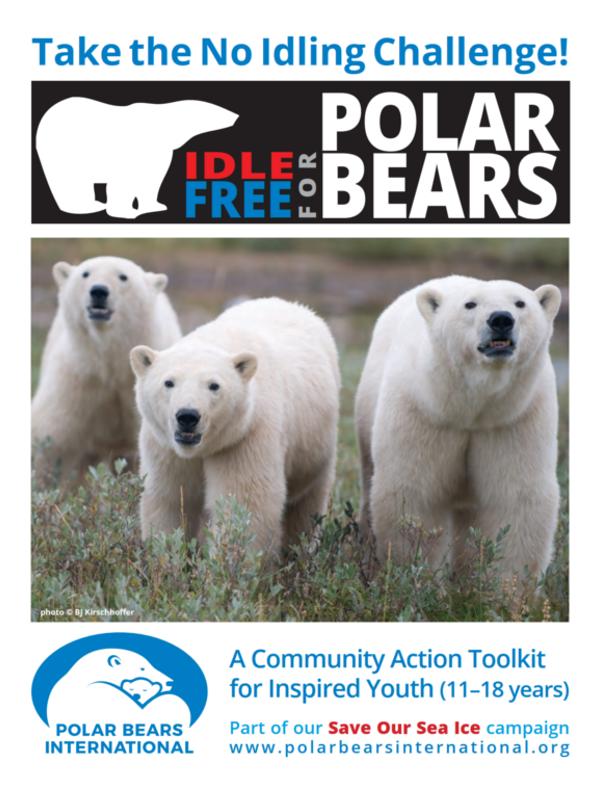 Take the No Idling Challenge for Polar Bears Toolkit