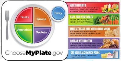 Myplate Nutrition Guide